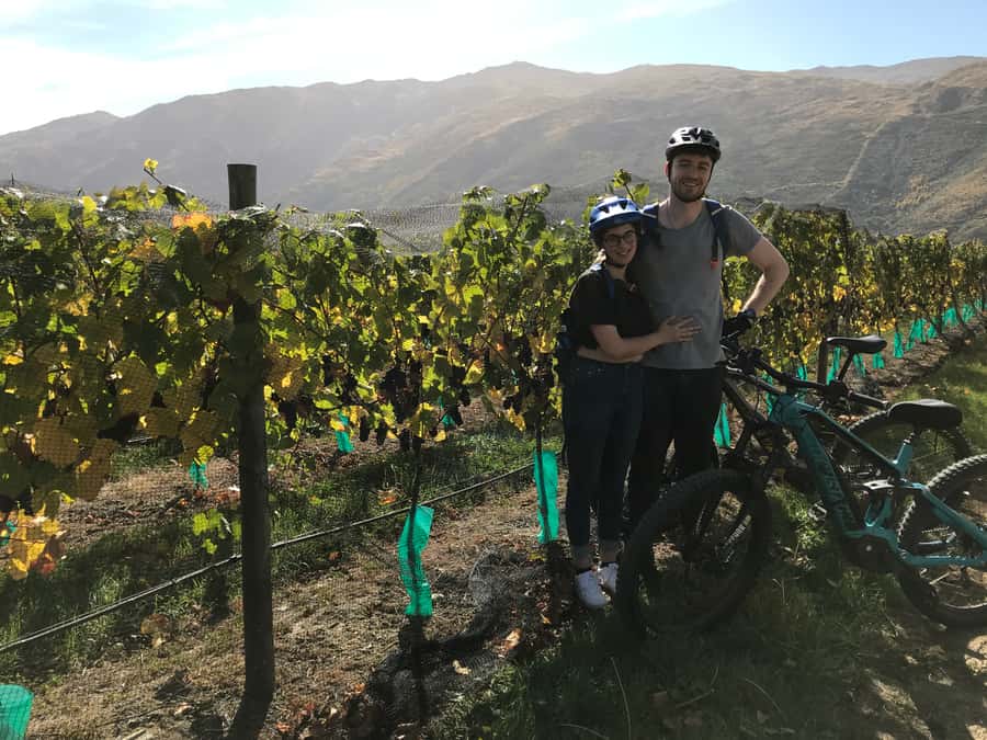 Queenstown: Guided E-Bike Tour with Winery Visits & Tastings - Who should book this e-bike-and-winery day in Queenstown?