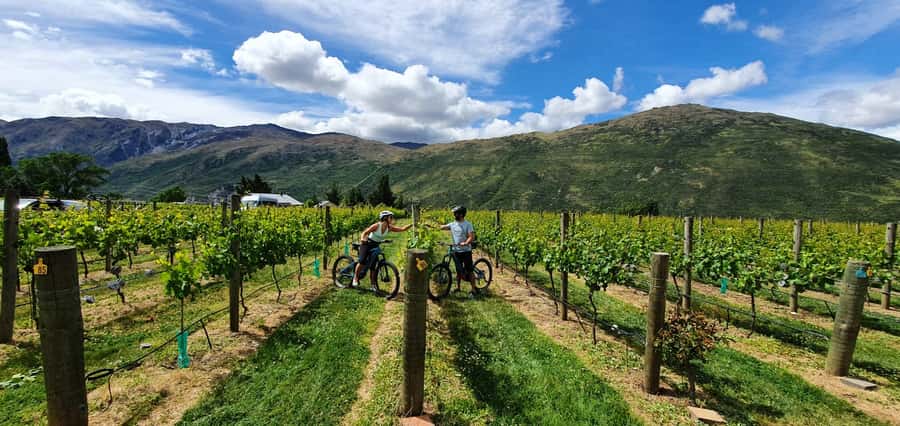 Queenstown: Guided E-Bike Tour with Winery Visits & Tastings - Queenstown start at 26 Hansen Road: easy handoff to a guided day