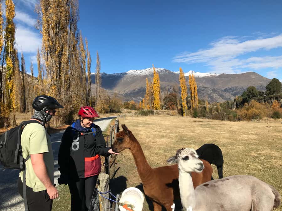 Queenstown: Guided E-Bike Tour with Winery Visits & Tastings - Kawarau Bridge Historic Reserve: seeing the bungy story up close