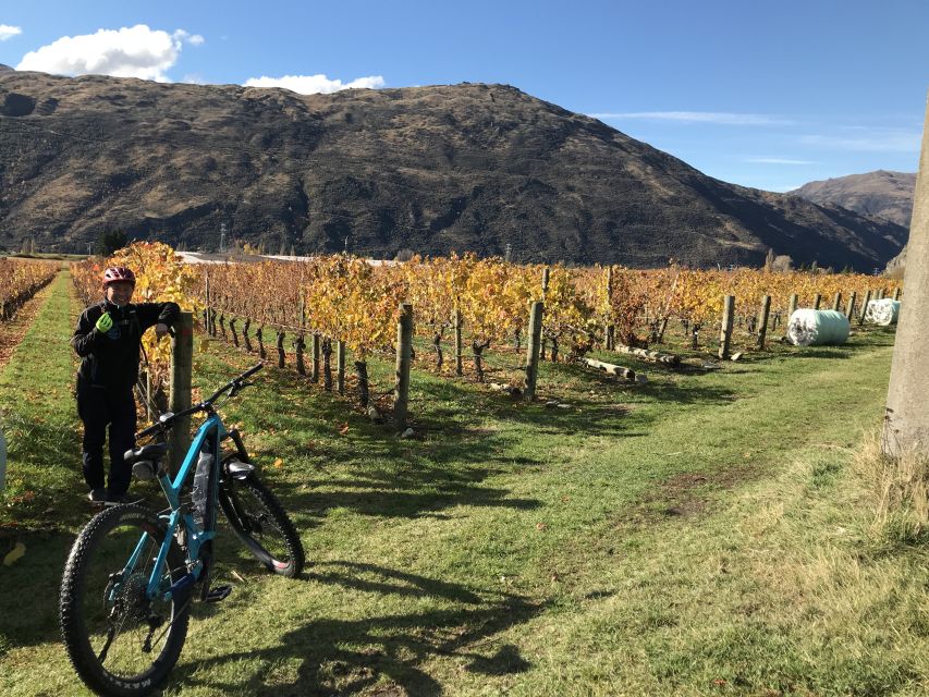 Queenstown: Guided E-Bike Tour with Winery Visits & Tastings - Price and value: is $194 worth it for 6 hours?