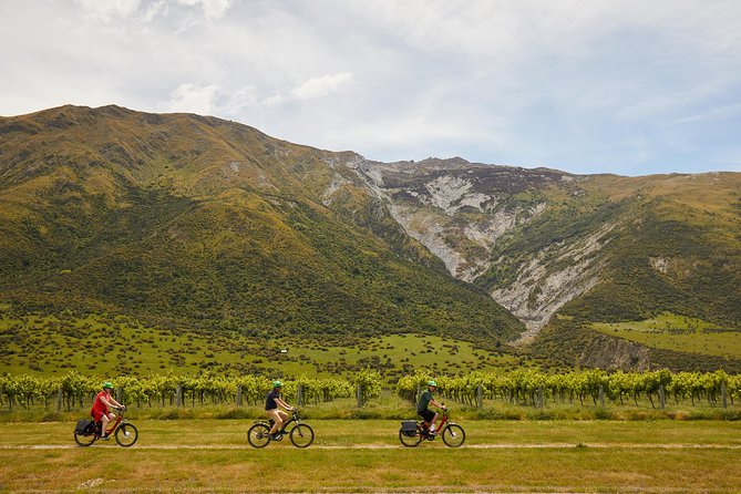 Queenstown Guided E-bike Wine Tour - Arrowtown start: mining-town streets and a fast bike handoff