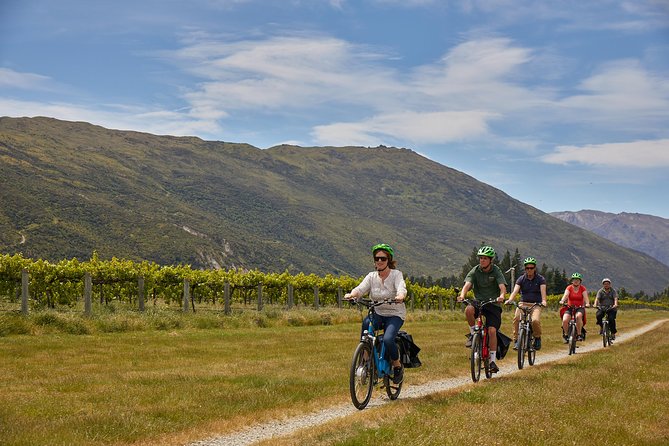 Queenstown Guided E-bike Wine Tour - Gibbston winery tasting: what you’re actually paying for