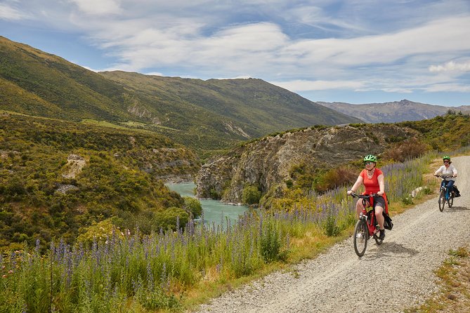 Queenstown Guided E-bike Wine Tour - Price and value for a half-day e-bike plus included transfers