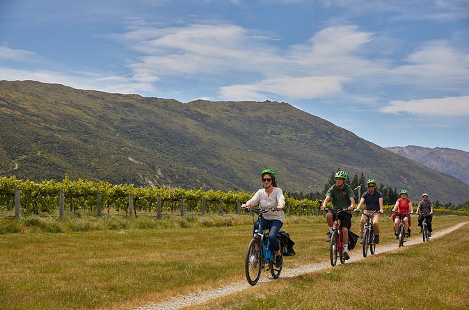 Queenstown Guided E-bike Wine Tour - Group size, timing, and ride rhythm (the stuff that affects your day)
