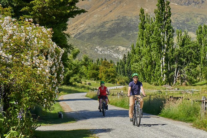 Queenstown Guided E-bike Wine Tour - Queenstown Trail on e-bikes: how the assist changes everything