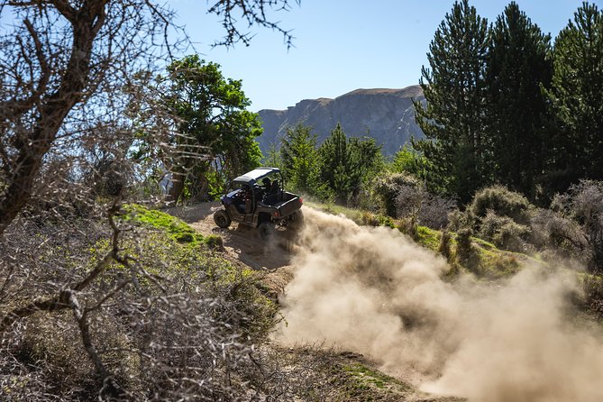 Queenstown Guided Self-Drive Buggy Tour - Families and first-timers: how the tour fits different groups