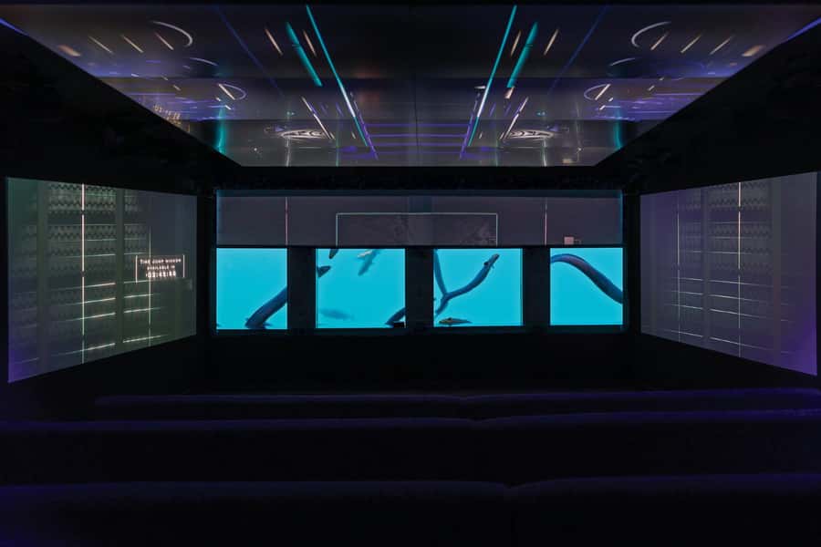 Queenstown: Hidden Underwater Theatre Experience - The Time Tripper show: black-light sci-fi storytelling with Temuera Morrison