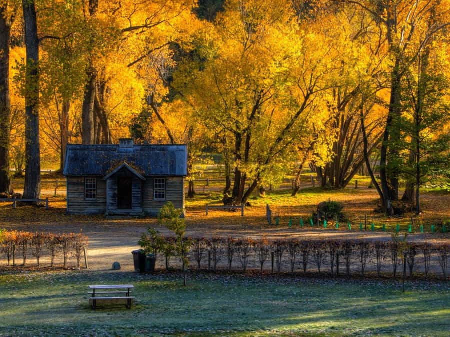 Queenstown: Highlights Tour with Wine Tasting - Key highlights you’ll actually feel