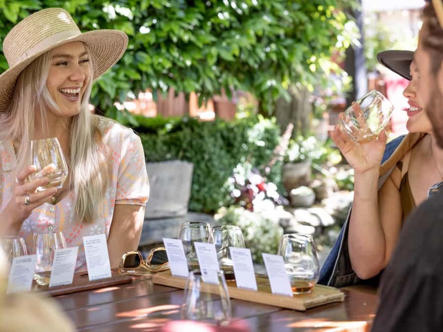 Queenstown: Highlights Tour with Wine Tasting - Price and value: what $101 buys you in Queenstown
