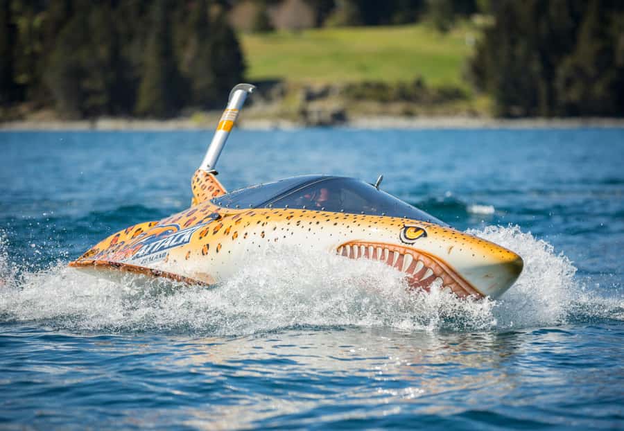 Queenstown: Hydro Attack Shark Ride - Key points before you book