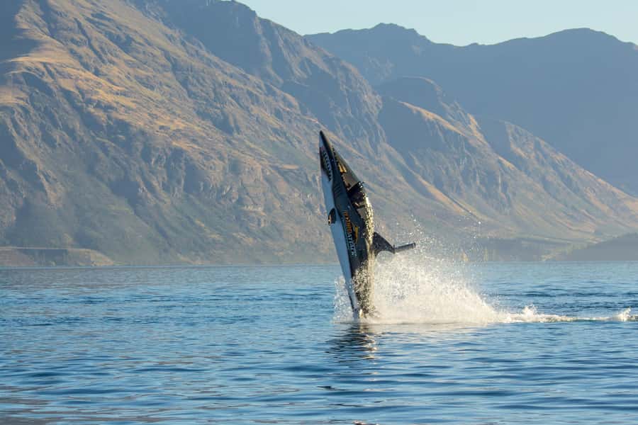 Queenstown: Hydro Attack Shark Ride - Queenstown’s Hydro Attack: what makes it feel so different