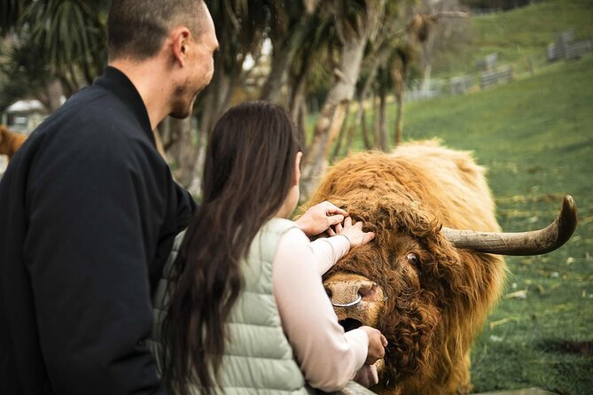 Queenstown Lake Cruise and Walter Peak Farm Adventure - Key things that make this Queenstown lake cruise + Walter Peak special