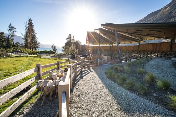Queenstown Lake Cruise and Walter Peak Farm Adventure - Arrival at Walter Peak: gardens, animals, and a guided farm tour