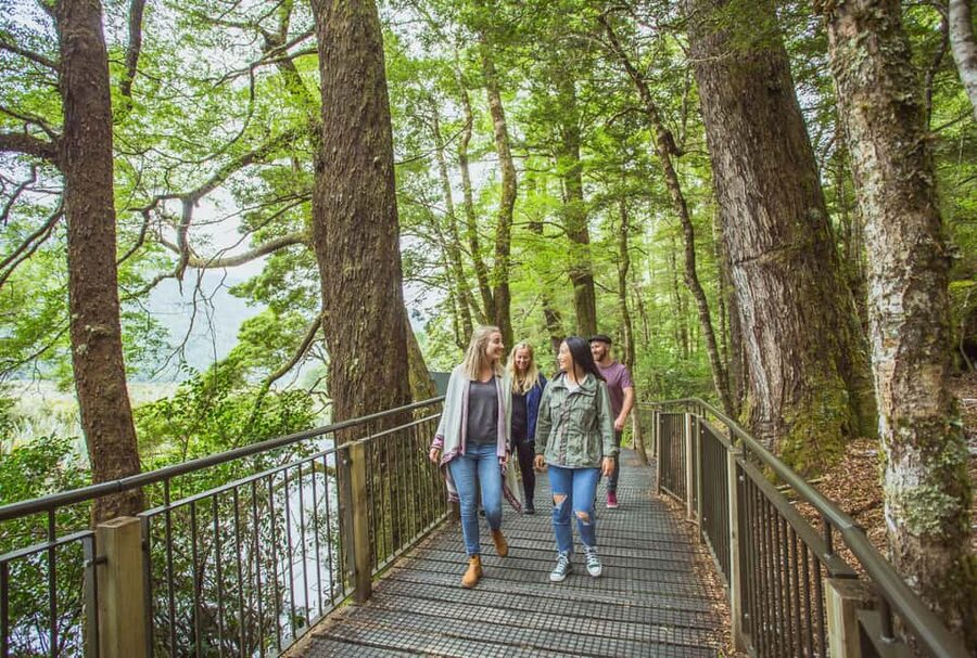 Queenstown: Milford Sound Coach & Cruise Full-Day Trip - What you’re really buying for $144