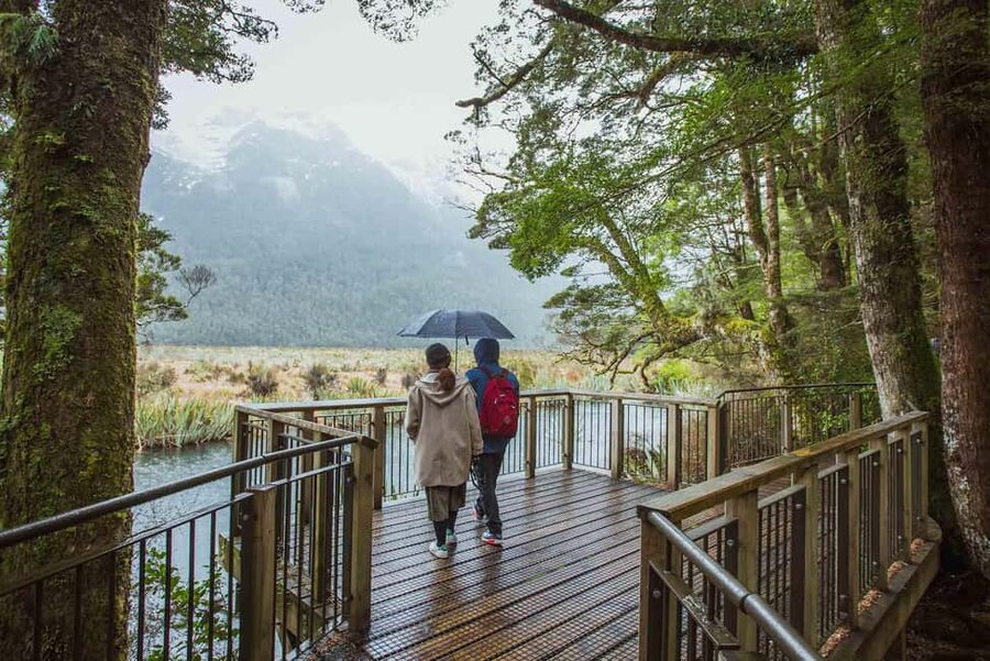 Queenstown: Milford Sound Coach & Cruise Full-Day Trip - Stirling Falls spray: the moment most people remember