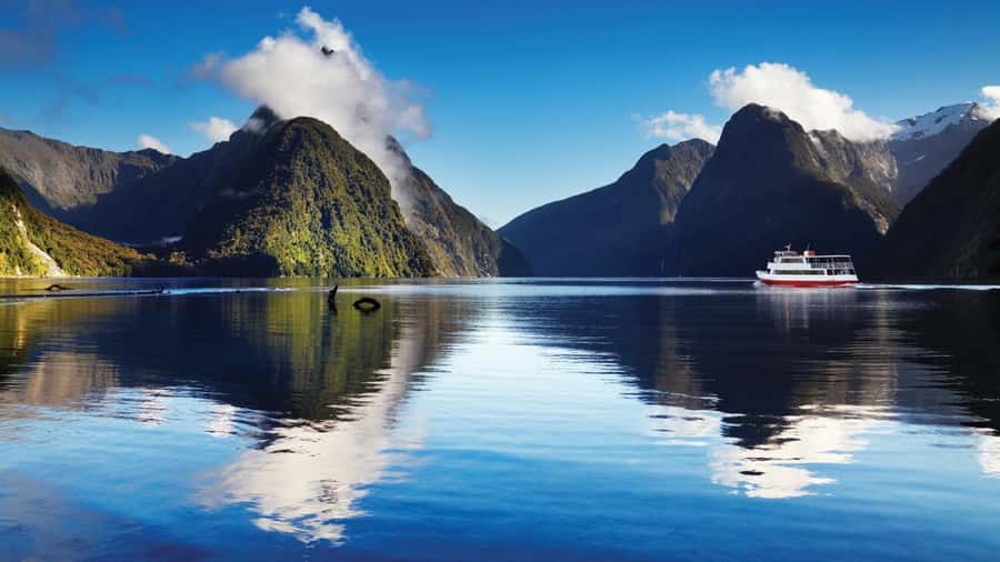 Queenstown: Milford Sound Day Trip - Cruise & Picnic Lunch - Key things to know before you go