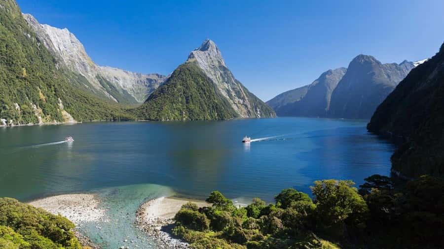 Queenstown: Milford Sound Day Trip - Cruise & Picnic Lunch - Timing and pacing: what a 10-hour day really feels like