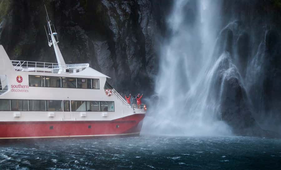 Queenstown: Milford Sound Flight and Cruise - The Milford Sound cruise (about 1h45): seals, penguins, and dolphins