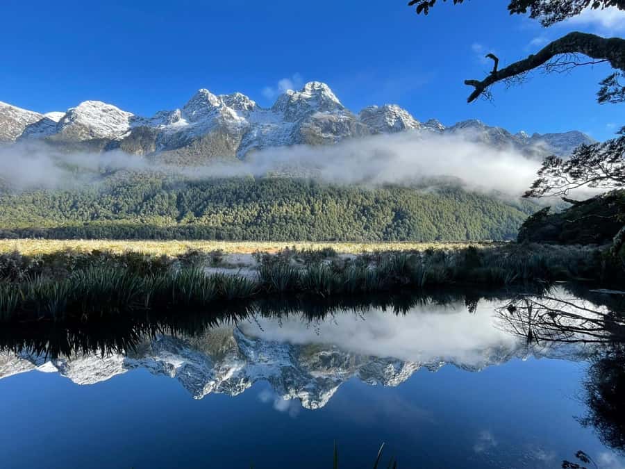 Queenstown: Milford Sound Small-Group Tour w Cruise & Lunch - Return to Queenstown: Te Anau plus an optional scenic flight
