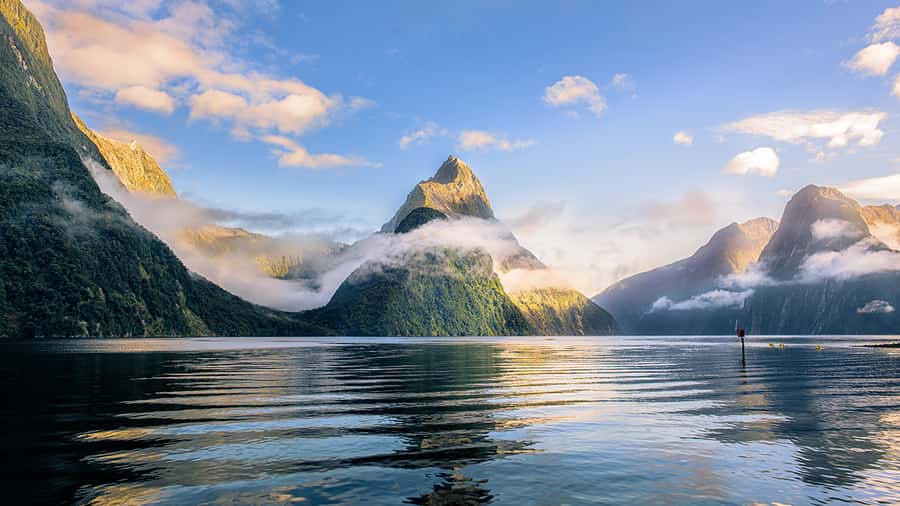 Queenstown: Milford Sound Small-Group Tour w Cruise & Lunch - Queenstown to Milford Sound: what makes this day trip work