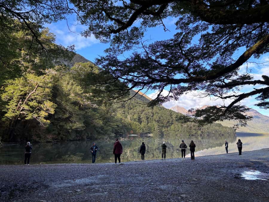 Queenstown: Milford Sound Small-Group Tour w Cruise & Lunch - Eglington Valley and the Hollyford River: where the stops feel worth it