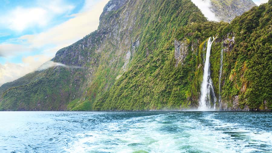 Queenstown: Milford Sound Small-Group Tour w Cruise & Lunch - Te Anau break and the “before the boat” reset