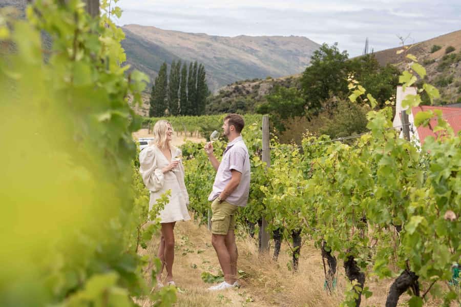 Queenstown: Original Premium Half-Day Gibbston Wine Tour - Key things that make this tour worth your time