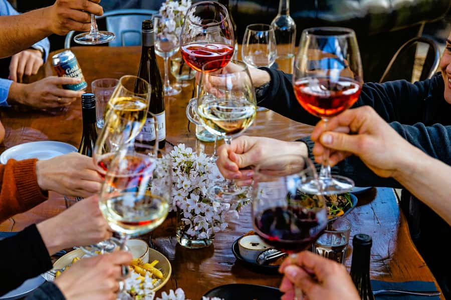 Queenstown: Original Premium Half-Day Gibbston Wine Tour - The Central Otago Pinot Noir focus (and how the guide keeps it fun)