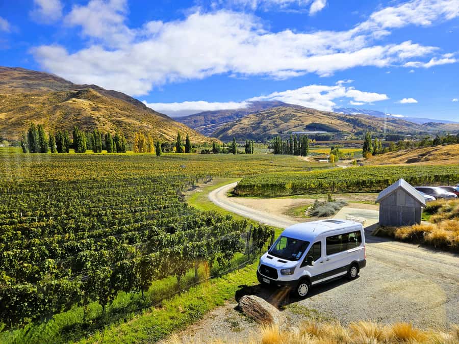 Queenstown: Premium Full-Day Central Otago Wine Tasting Tour - How This Queenstown Wine Tour Works (And Why It Feels Premium)