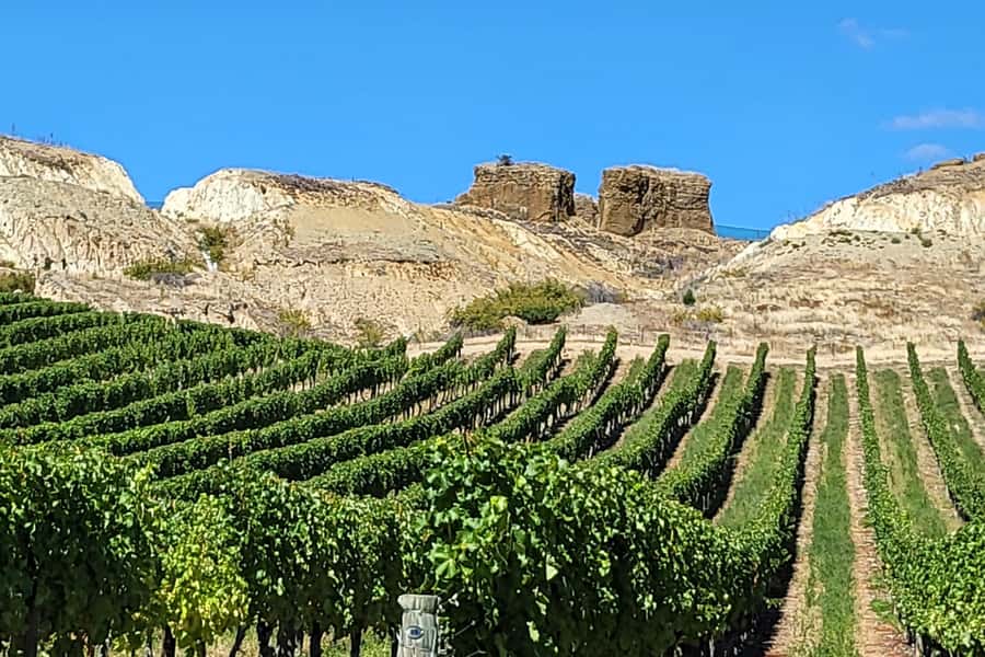Queenstown: Premium Full-Day Central Otago Wine Tasting Tour - Scenic Breaks in Arrowtown and Old Cromwell (When Time Allows)