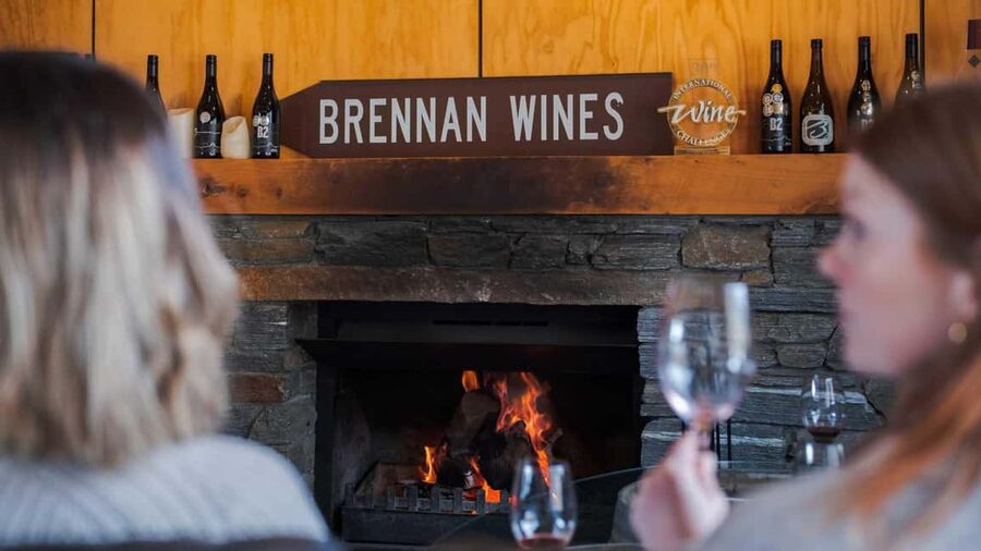 Queenstown: Premium Wine Tasting Tour - Pickup, Mercedes Sprinter comfort, and the driver-guide role