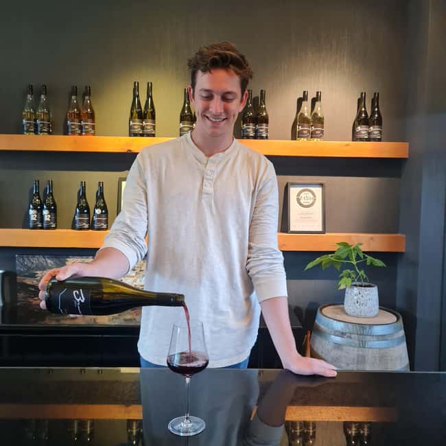 Queenstown: Premium Wine Tasting Tour - Who this tour fits best in Queenstown