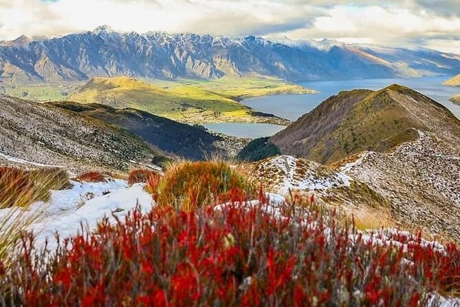 Queenstown Private Airport Transfer: Door to Door Service - Meeting Point Reality: Getting Found Without Stress