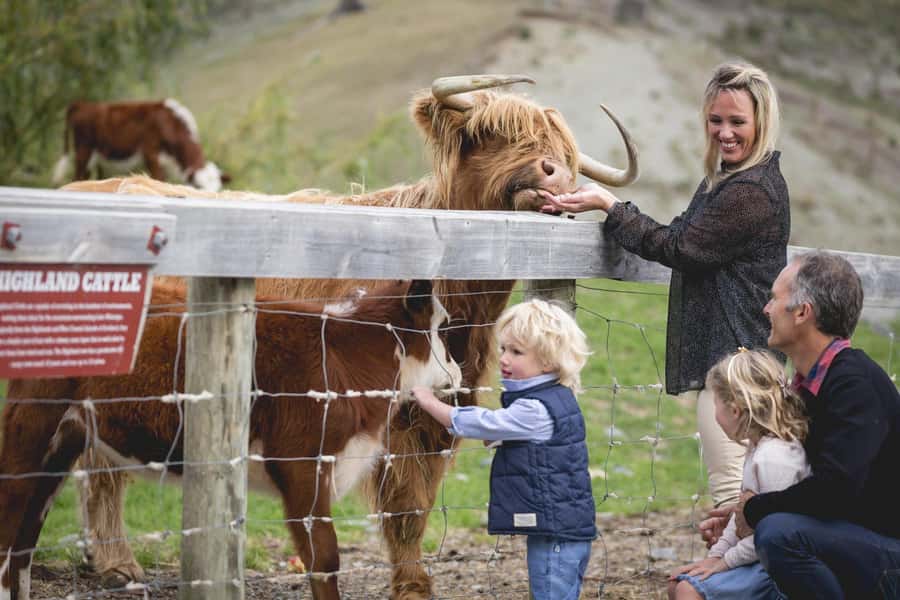 Queenstown: Queenstown Lake Cruise and Walter Peak Farm Tour - Meeting Point and Timing: How to Start Smoothly at Steamer Wharf
