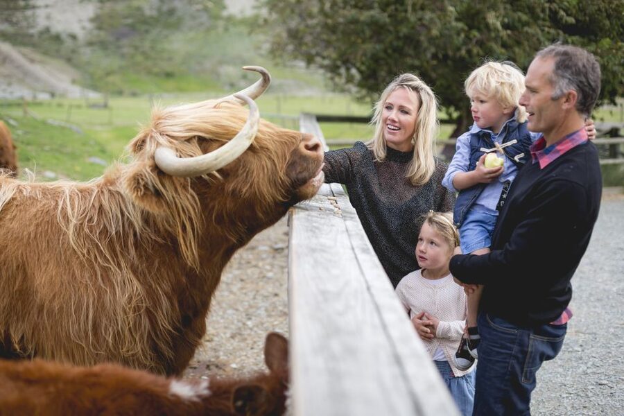 Queenstown: Queenstown Lake Cruise and Walter Peak Farm Tour - Afternoon Tea at Walter Peak: What You Can Expect to Actually Enjoy