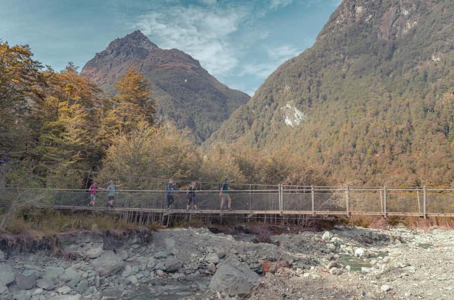 Queenstown: Routeburn Track Guided Full-Day Walk or Half Day - Why the Routeburn Track feels different from a typical Queenstown hike