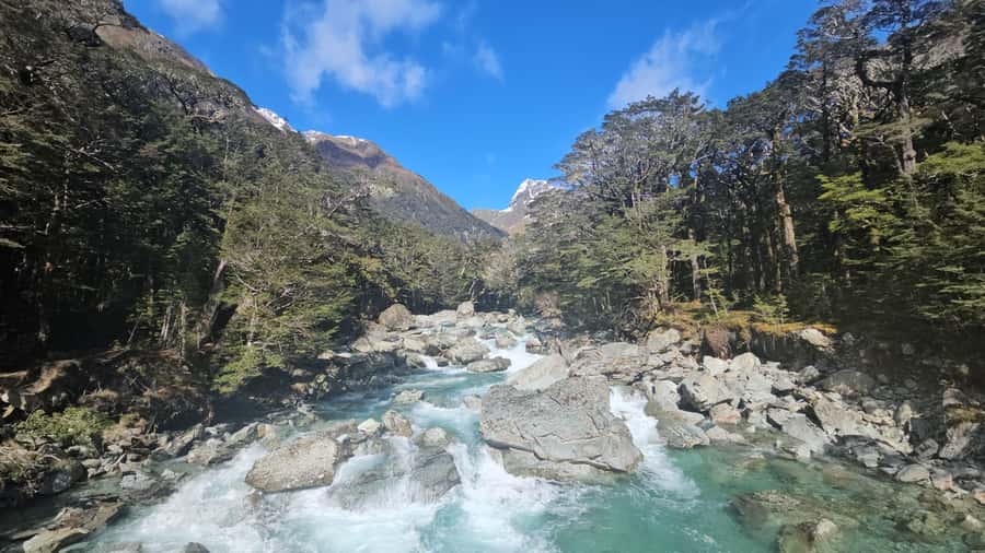 Queenstown: Routeburn Track Guided Full-Day Walk or Half Day - First stretch on the trail: swing bridge thrills and early photo stops