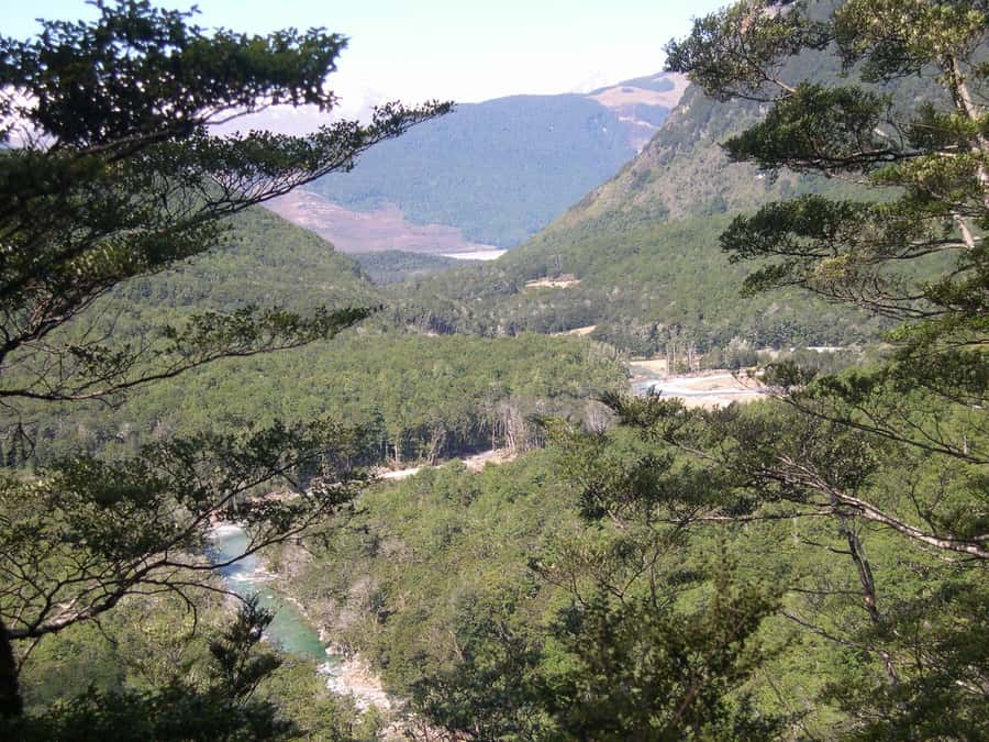 Queenstown: Routeburn Track Guided Full-Day Walk or Half Day - Beech forest, meadows, tarns, and the views that come in phases