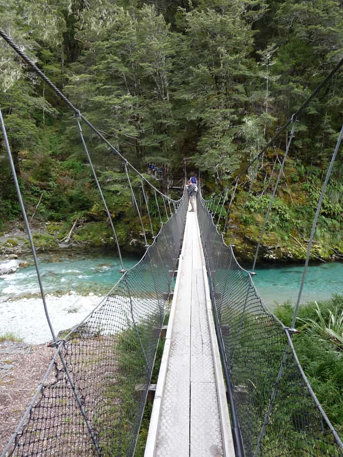 Queenstown: Routeburn Track Guided Full-Day Walk or Half Day - Guide style and small-group energy: why max 10 matters
