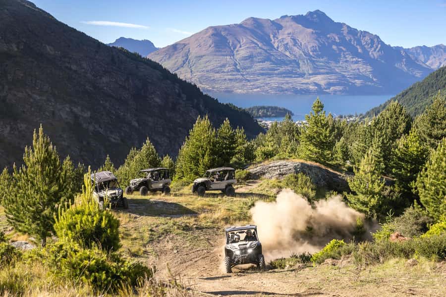 Queenstown: Self Drive Guided Buggy Tour - Driving skills you’ll need (and what to do if you’re new)