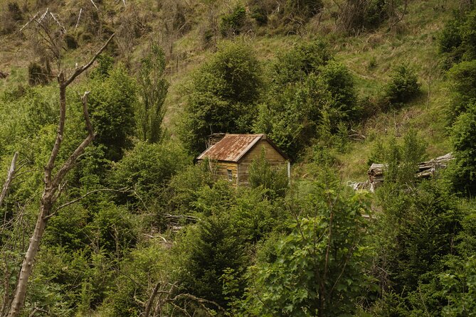 Queenstown: Skippers Canyon Goldrush Small Group Tour - GPS gold rush storytelling: why it feels more than sightseeing