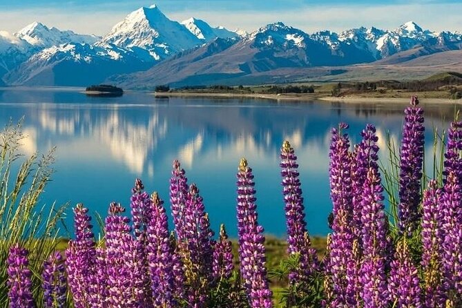 Queenstown to Christchurch One Way Tour Via Lake Tekapo & Mt Cook - Tasman Glacier: an easy 1-hour walk built for glacier photography