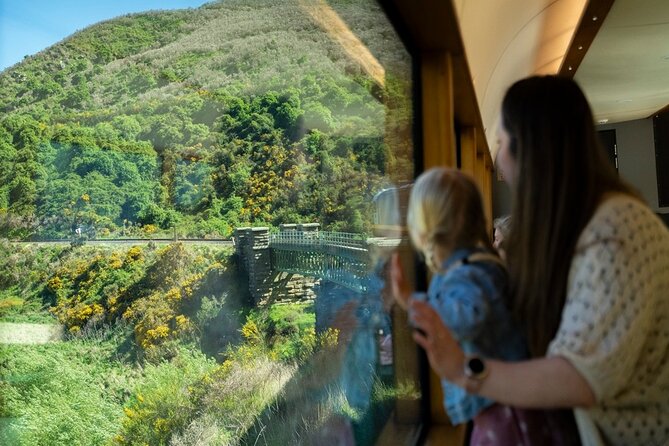 Queenstown to Dunedin with Taieri Gorge Train One-Way Tour - Queenstown to Pukerangi: a guided road day that really matters