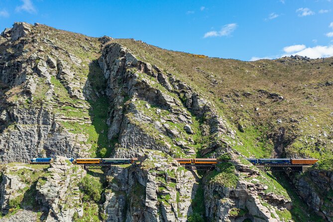 Queenstown to Dunedin with Taieri Gorge Train One-Way Tour - Who should book this, and who might not love it