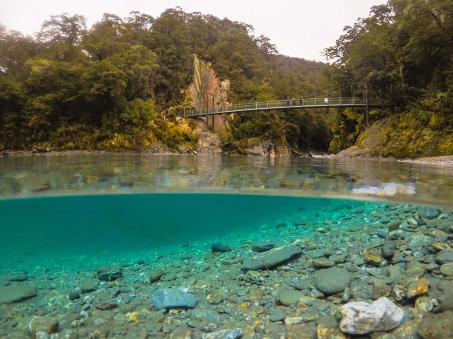 Queenstown to Franz Josef small group tour (one-way) - Queenstown to Franz Josef in 12 hours: why this one-way format feels smart