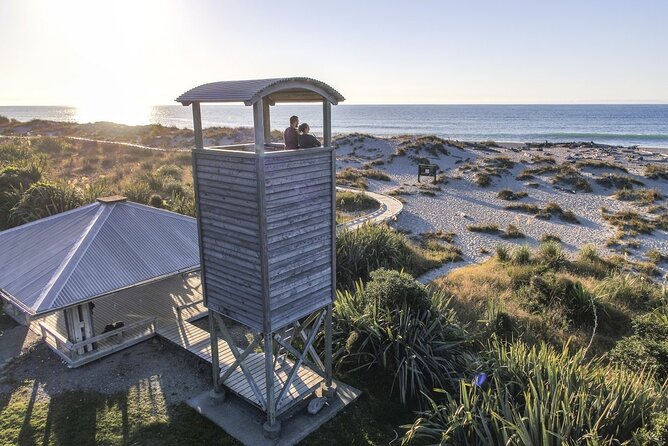 Queenstown to Franz Josef via Wanaka Small Group Day Tour (1-Way) - Ship Creek, Bruce Bay, and Lake Matheson: rainforest meets the ocean