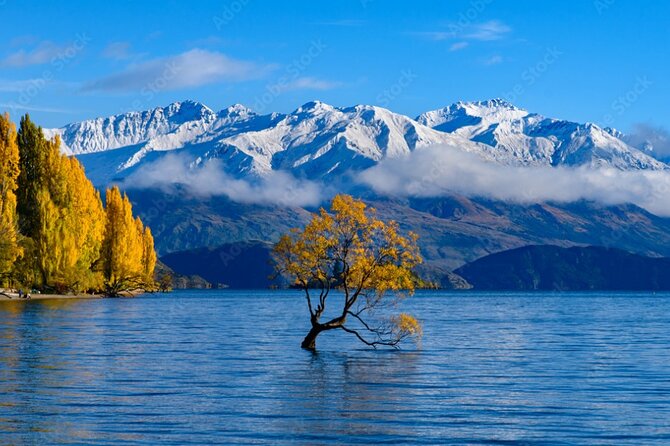 Queenstown to Franz Josef via Wanaka Small Group Day Tour (1-Way) - What to pack and how fit you should be