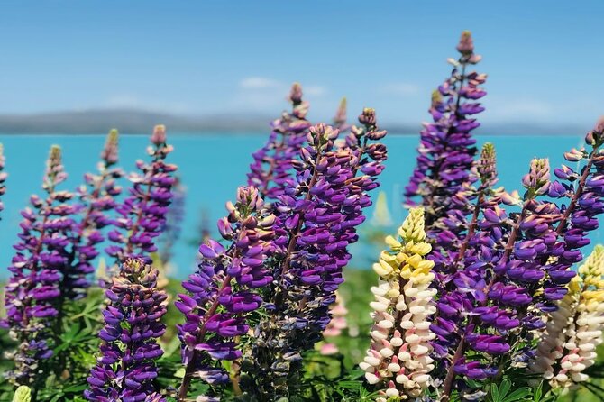 Queenstown to Lake Tekapo via Mt Cook One-Way Small Group Tour - Cromwell, Lake Dunstan, and Lindis Pass: The Route’s Best Scenic Swing
