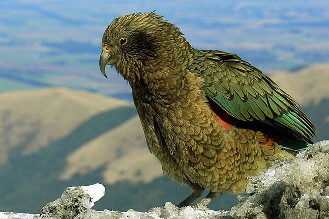 Queenstown to Lake Tekapo via Mt Cook One-Way Small Group Tour - Price and Logistics: Is $222.79 Actually Good Value?