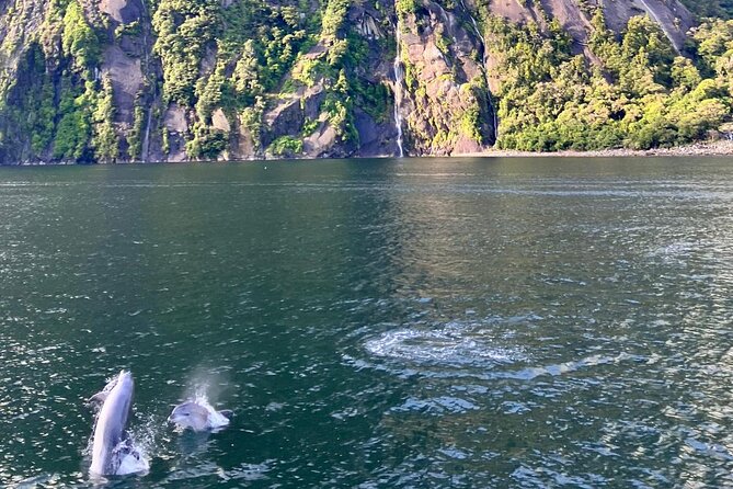 Queenstown to Te Anau via Milford Sound inc Cruise & Lunch - Lake Gunn and the Hollyford River: where the road turns dramatic